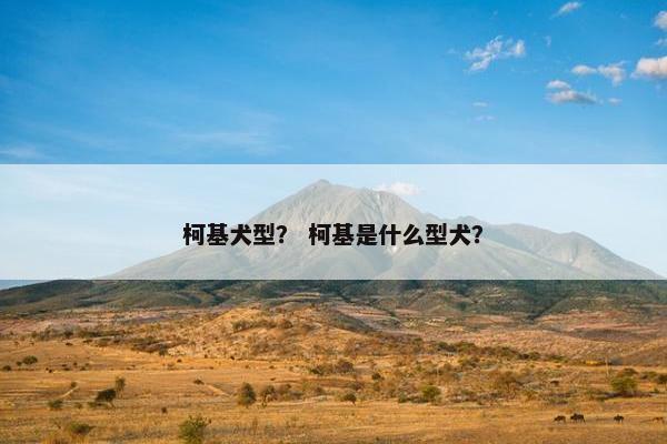 柯基犬型？ 柯基是什么型犬？