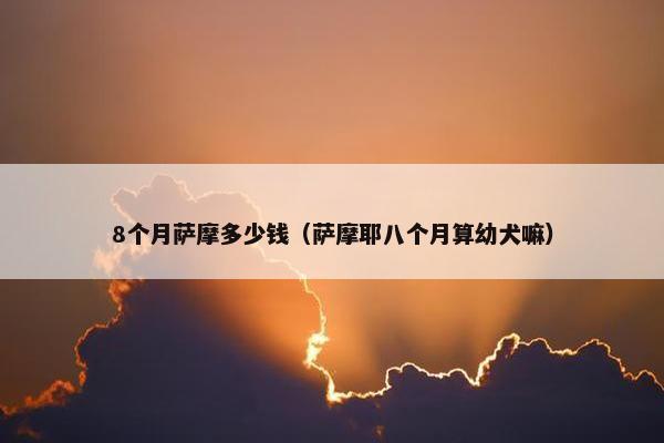 8个月萨摩多少钱（萨摩耶八个月算幼犬嘛）