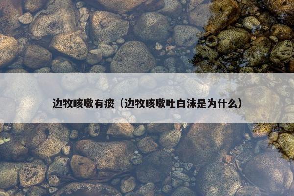 边牧咳嗽有痰（边牧咳嗽吐白沫是为什么）