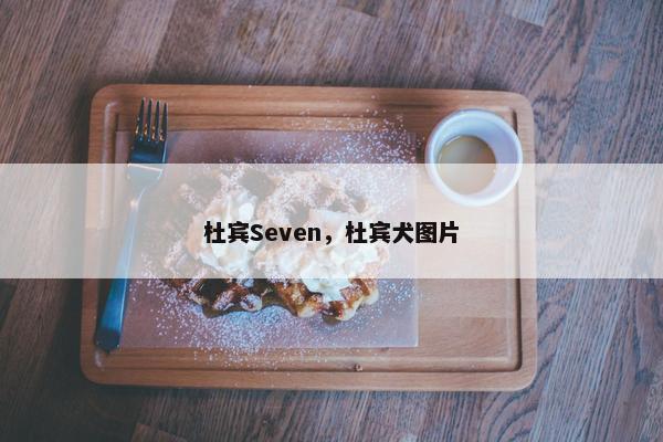 杜宾Seven，杜宾犬图片