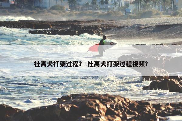 杜高犬打架过程？ 杜高犬打架过程视频？