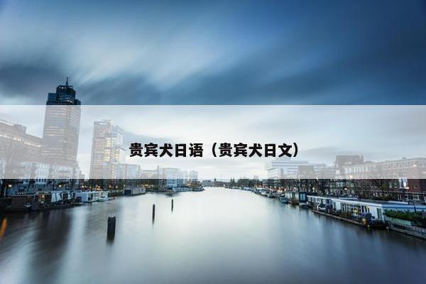 贵宾犬日语（贵宾犬日文）