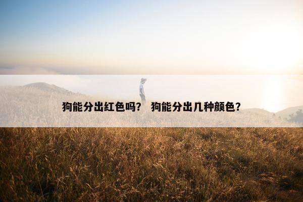 狗能分出红色吗？ 狗能分出几种颜色？