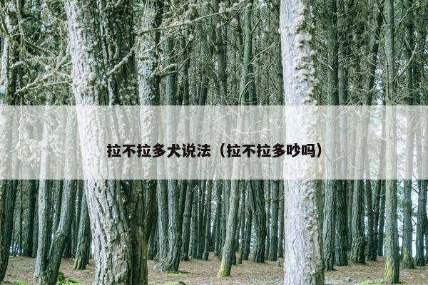 拉不拉多犬说法（拉不拉多吵吗）