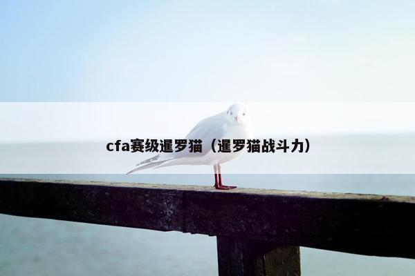 cfa赛级暹罗猫（暹罗猫战斗力）