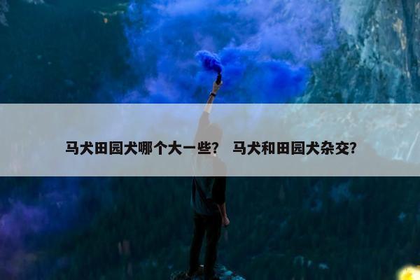 马犬田园犬哪个大一些？ 马犬和田园犬杂交？