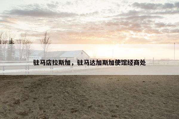 驻马店拉斯加，驻马达加斯加使馆经商处