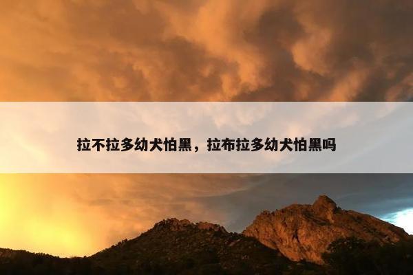 拉不拉多幼犬怕黑，拉布拉多幼犬怕黑吗