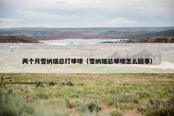两个月雪纳瑞总打哆嗦（雪纳瑞总哆嗦怎么回事）