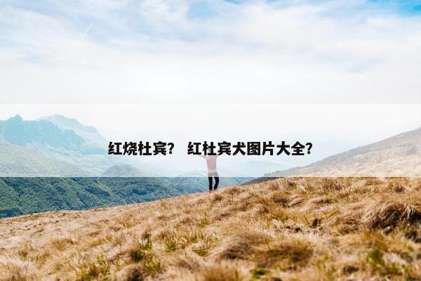 红烧杜宾？ 红杜宾犬图片大全？
