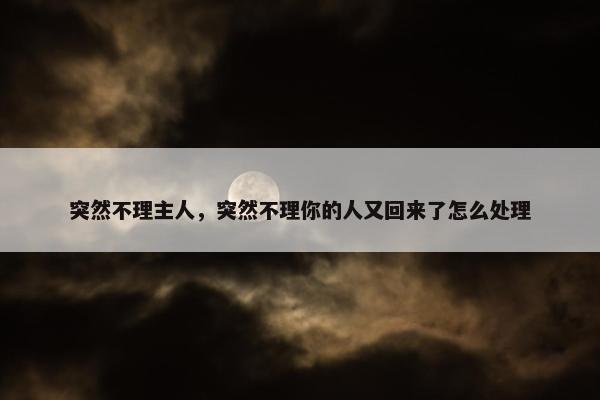 突然不理主人，突然不理你的人又回来了怎么处理