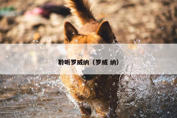 聆听罗威纳（罗威 纳）