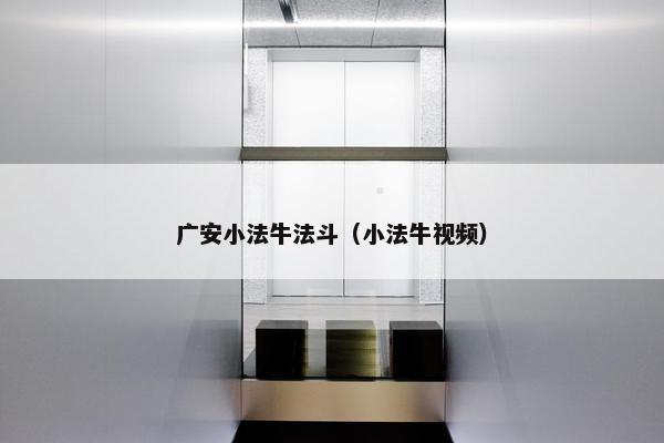 广安小法牛法斗（小法牛视频）