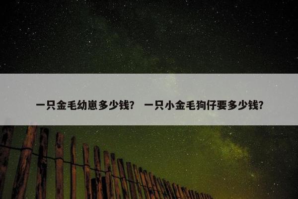 一只金毛幼崽多少钱？ 一只小金毛狗仔要多少钱？