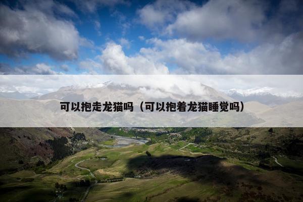 可以抱走龙猫吗（可以抱着龙猫睡觉吗）