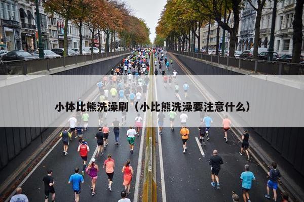 小体比熊洗澡刷（小比熊洗澡要注意什么）