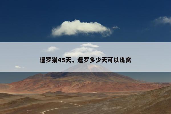 暹罗猫45天，暹罗多少天可以出窝