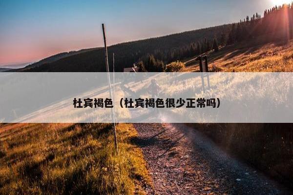 杜宾褐色（杜宾褐色很少正常吗）