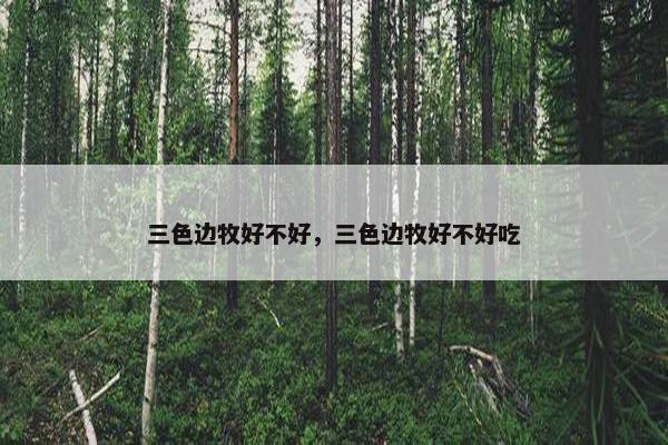 三色边牧好不好，三色边牧好不好吃