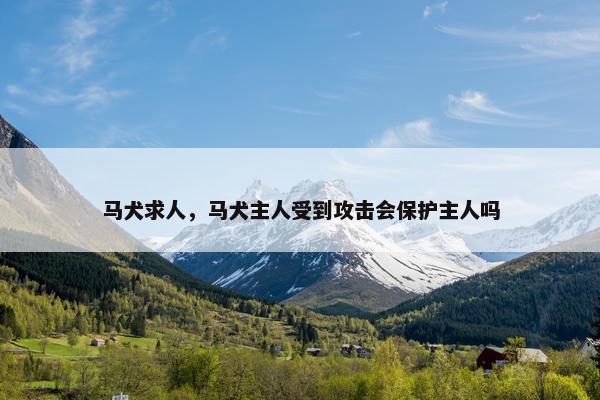 马犬求人，马犬主人受到攻击会保护主人吗