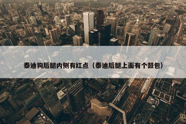 泰迪狗后腿内侧有红点（泰迪后腿上面有个鼓包）