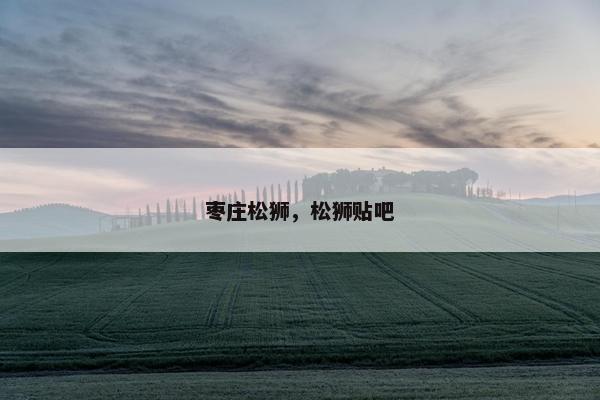 枣庄松狮，松狮贴吧
