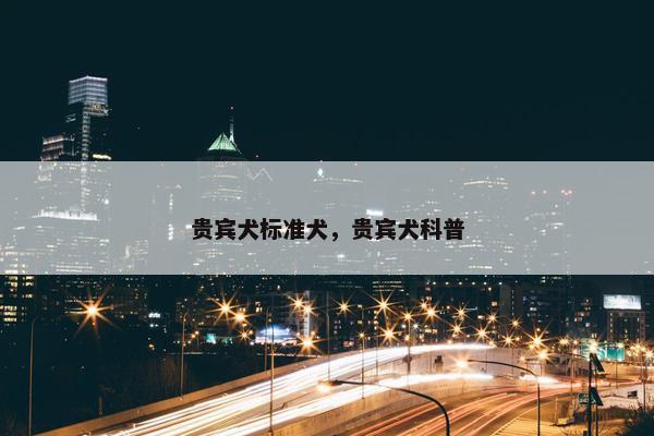 贵宾犬标准犬，贵宾犬科普