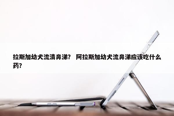 拉斯加幼犬流清鼻涕？ 阿拉斯加幼犬流鼻涕应该吃什么药？