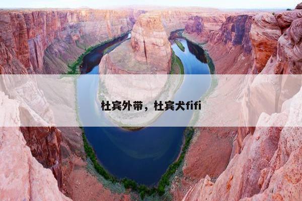 杜宾外带，杜宾犬fifi