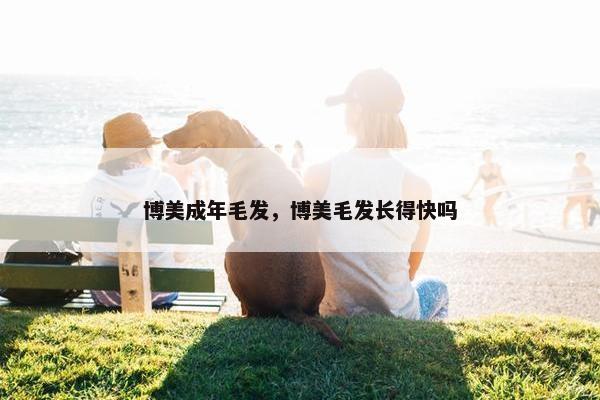 博美成年毛发，博美毛发长得快吗