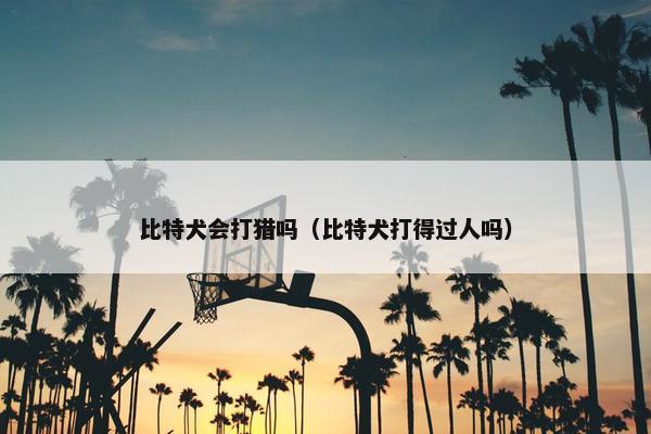 比特犬会打猎吗（比特犬打得过人吗）
