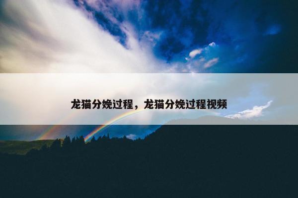 龙猫分娩过程，龙猫分娩过程视频