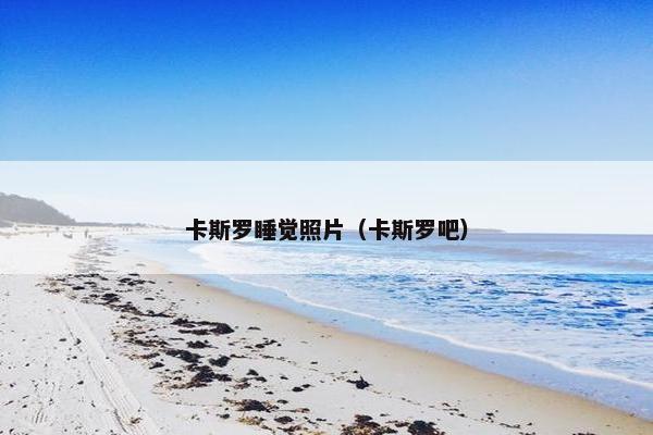 卡斯罗睡觉照片（卡斯罗吧）