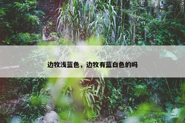 边牧浅蓝色，边牧有蓝白色的吗