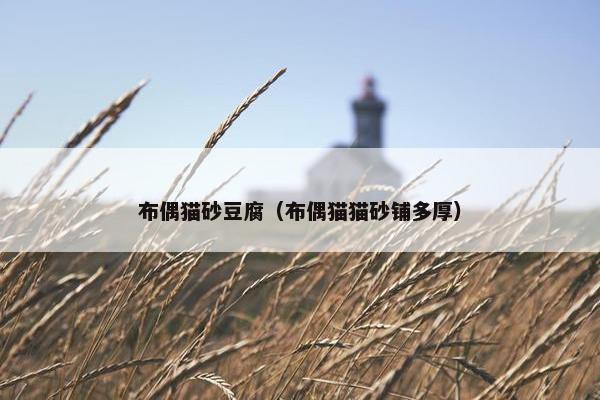 布偶猫砂豆腐（布偶猫猫砂铺多厚）