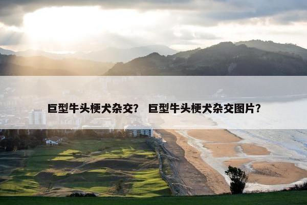 巨型牛头梗犬杂交？ 巨型牛头梗犬杂交图片？
