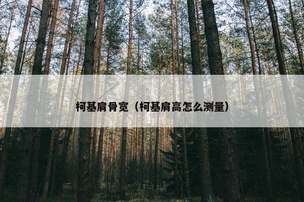 柯基肩骨宽（柯基肩高怎么测量）