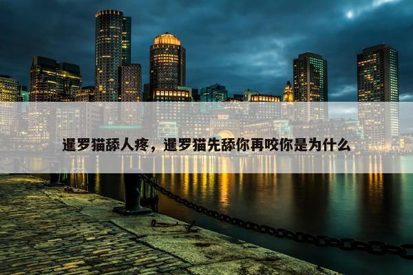 暹罗猫舔人疼，暹罗猫先舔你再咬你是为什么