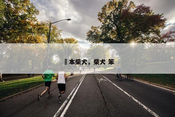 辻本柴犬，柴犬 笨