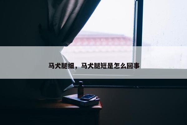 马犬腿细，马犬腿短是怎么回事