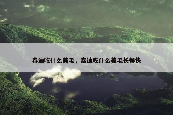 泰迪吃什么美毛，泰迪吃什么美毛长得快