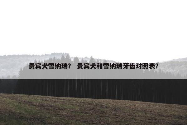 贵宾犬雪纳瑞？ 贵宾犬和雪纳瑞牙齿对照表？