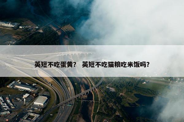 英短不吃蛋黄？ 英短不吃猫粮吃米饭吗？