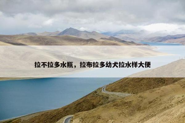 拉不拉多水瓶，拉布拉多幼犬拉水样大便