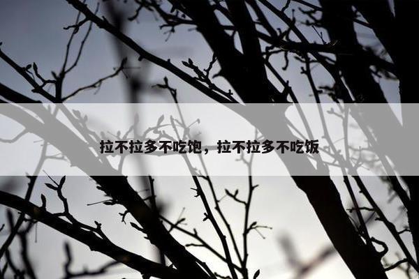 拉不拉多不吃饱，拉不拉多不吃饭