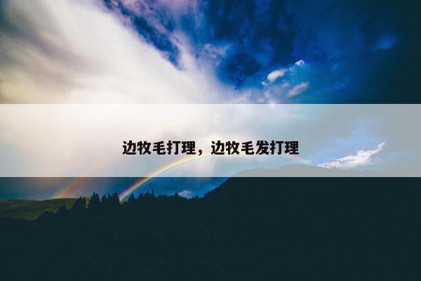 边牧毛打理，边牧毛发打理