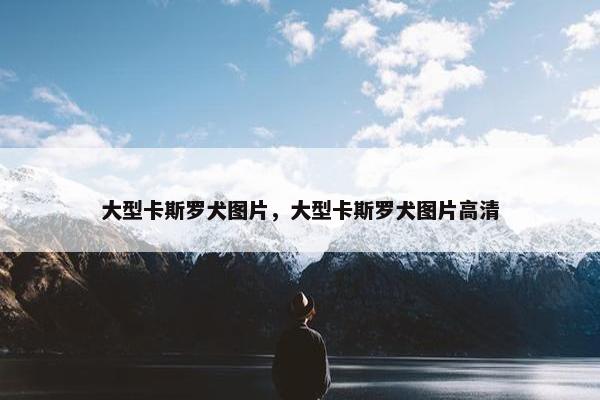 大型卡斯罗犬图片，大型卡斯罗犬图片高清