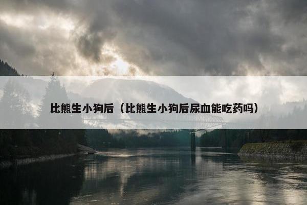 比熊生小狗后（比熊生小狗后尿血能吃药吗）