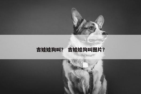吉娃娃狗叫？ 吉娃娃狗叫图片？