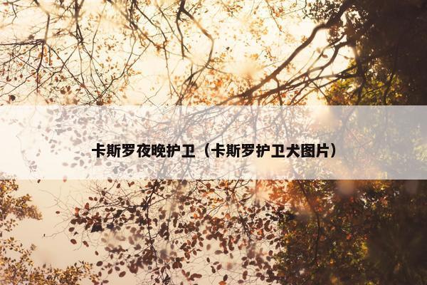 卡斯罗夜晚护卫（卡斯罗护卫犬图片）